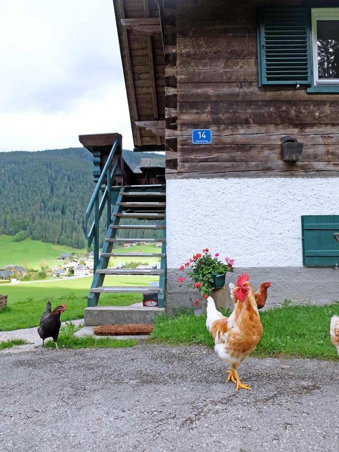 Ferienhaus Asterbach โกเซา ภายนอก รูปภาพ