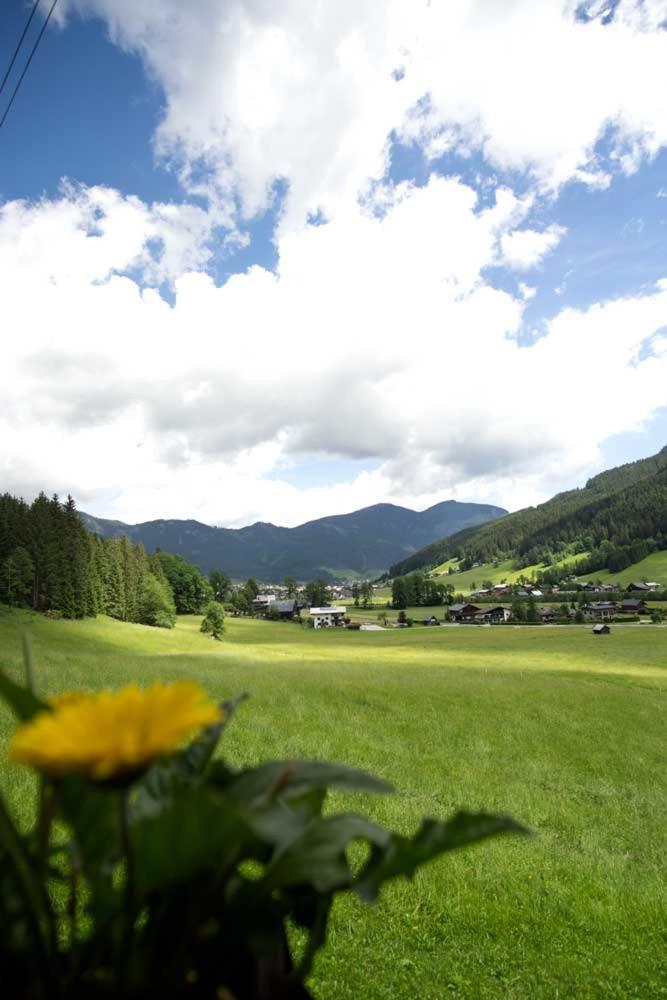 Ferienhaus Asterbach โกเซา ภายนอก รูปภาพ
